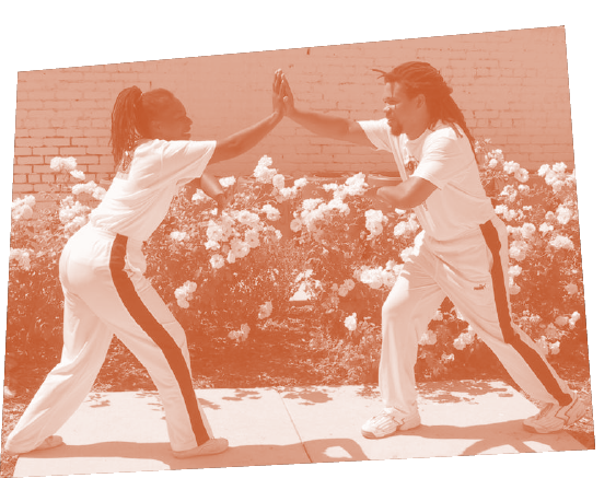 ONE ON ONE CAPOEIRA ANGOLA PLAYING